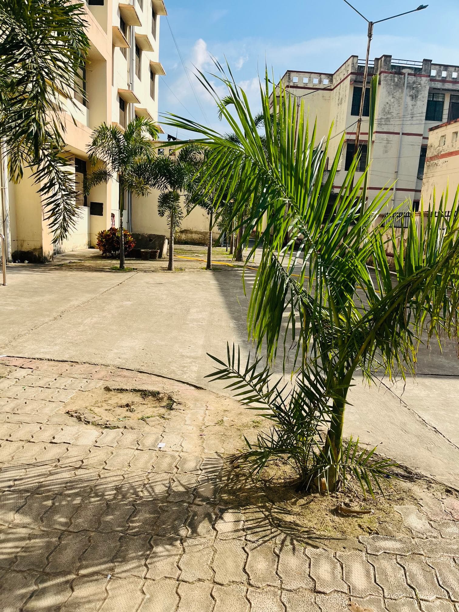 KNIT Sultanpur Campus photo 11